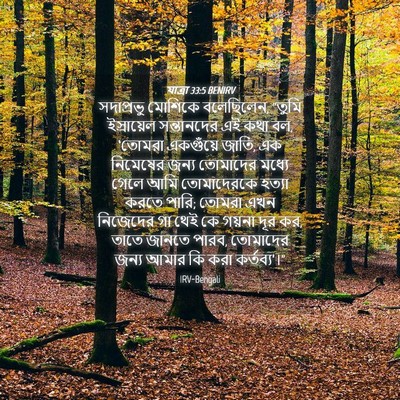 Picture 04 - যাত্ৰা 33:5 BENIRV - সদাপ্রভু মোশিকে - Bible Verse Picture