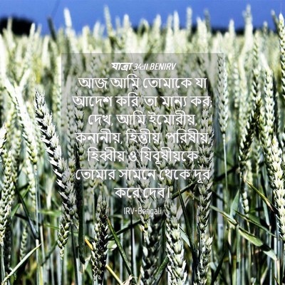 Picture 04 - যাত্ৰা 34:11 BENIRV - আজ আমি তোমাকে যা - Bible Verse Picture
