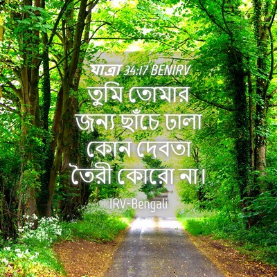Picture 04 - যাত্ৰা 34:17 BENIRV - তুমি তোমার জন্য - Bible Verse Picture