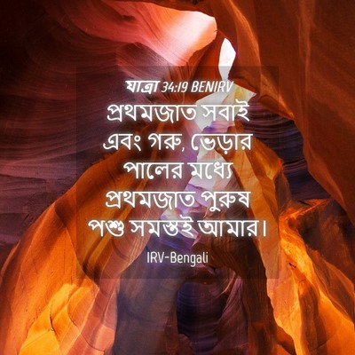 Picture 04 - যাত্ৰা 34:19 BENIRV - প্রথমজাত সবাই এবং - Bible Verse Picture
