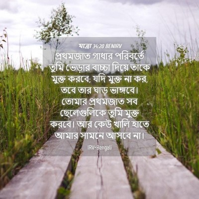 Picture 04 - যাত্ৰা 34:20 BENIRV - প্রথমজাত গাধার - Bible Verse Picture
