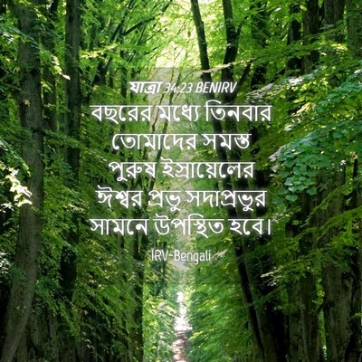 Picture 04 - যাত্ৰা 34:23 BENIRV - বছরের মধ্যে - Bible Verse Picture