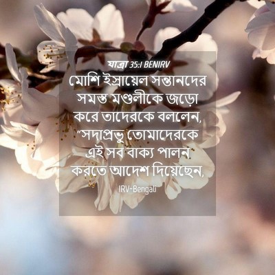 Picture 04 - যাত্ৰা 35:1 BENIRV - মোশি ইস্রায়েল - Bible Verse Picture