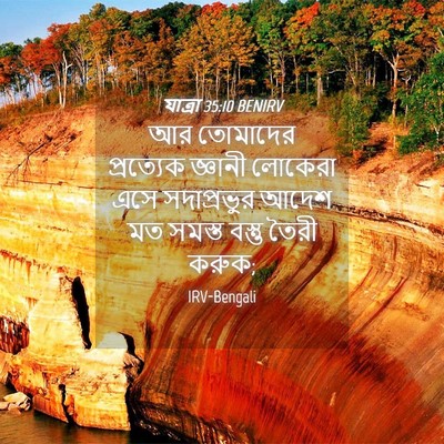 Picture 04 - যাত্ৰা 35:10 BENIRV - আর তোমাদের - Bible Verse Picture