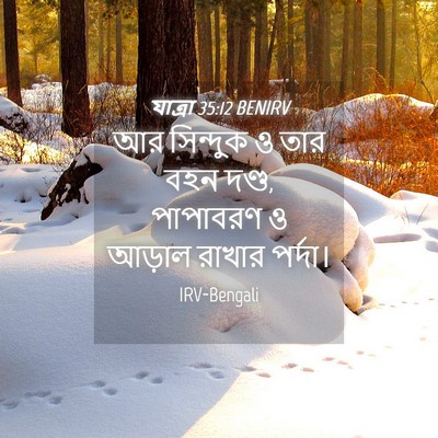 Picture 04 - যাত্ৰা 35:12 BENIRV - আর সিন্দুক ও তার - Bible Verse Picture