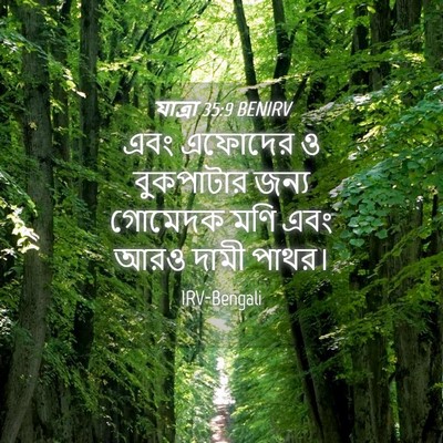 Picture 04 - যাত্ৰা 35:9 BENIRV - এবং এফোদের ও - Bible Verse Picture