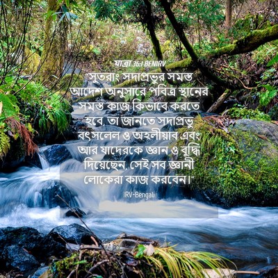 Picture 04 - যাত্ৰা 36:1 BENIRV - “সুতরাং সদাপ্রভুর - Bible Verse Picture