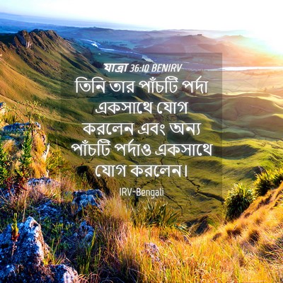 Picture 04 - যাত্ৰা 36:10 BENIRV - তিনি তার পাঁচটি - Bible Verse Picture