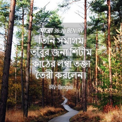 Picture 04 - যাত্ৰা 36:20 BENIRV - তিনি সমাগম তাঁবুর - Bible Verse Picture