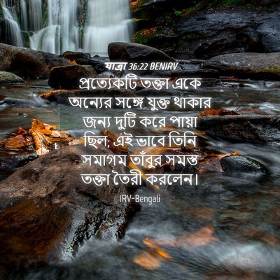 Picture 04 - যাত্ৰা 36:22 BENIRV - প্রত্যেকটি তক্তা - Bible Verse Picture