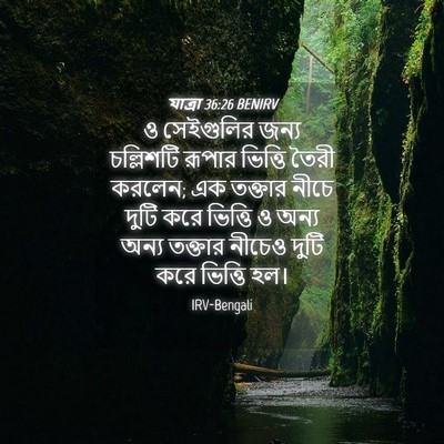 Picture 04 - যাত্ৰা 36:26 BENIRV - ও সেইগুলির জন্য - Bible Verse Picture