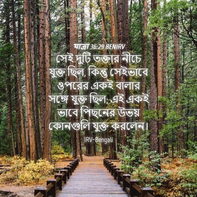 Picture 04 - যাত্ৰা 36:29 BENIRV - সেই দুটি তক্তার - Bible Verse Picture