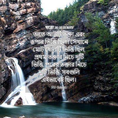 Picture 04 - যাত্ৰা 36:30 BENIRV - তাতে আটটি তক্তা - Bible Verse Picture