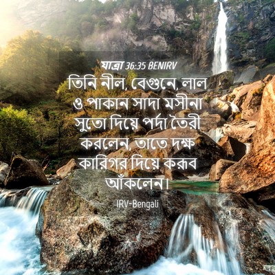 Picture 04 - যাত্ৰা 36:35 BENIRV - তিনি নীল, বেগুনে, - Bible Verse Picture