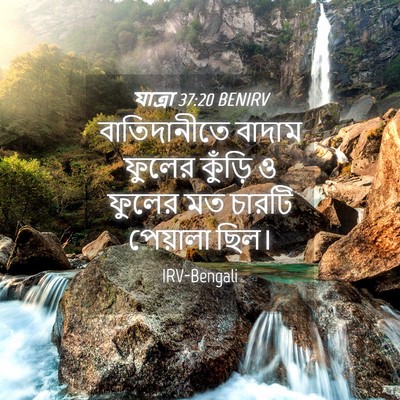 Picture 04 - যাত্ৰা 37:20 BENIRV - বাতিদানীতে বাদাম - Bible Verse Picture