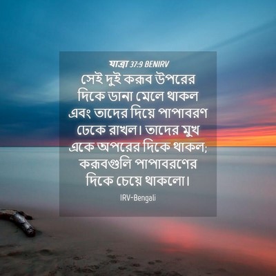 Picture 04 - যাত্ৰা 37:9 BENIRV - সেই দুই করূব উপরের - Bible Verse Picture