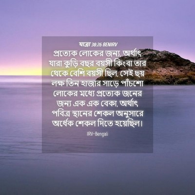 Picture 04 - যাত্ৰা 38:26 BENIRV - প্রত্যেক লোকের - Bible Verse Picture