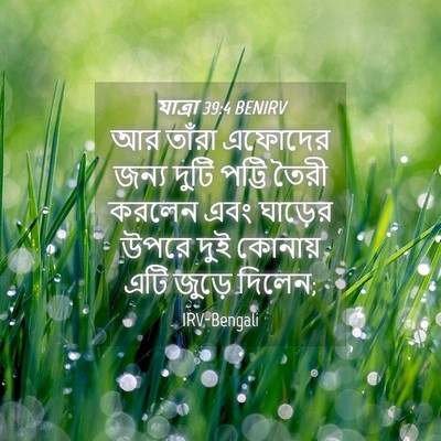 Picture 04 - যাত্ৰা 39:4 BENIRV - আর তাঁরা এফোদের - Bible Verse Picture