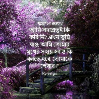 Picture 04 - যাত্ৰা 4:12 BENIRV - আমি সদাপ্রভুই কি - Bible Verse Picture
