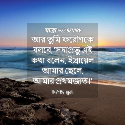 Picture 04 - যাত্ৰা 4:22 BENIRV - আর তুমি ফরৌণকে - Bible Verse Picture