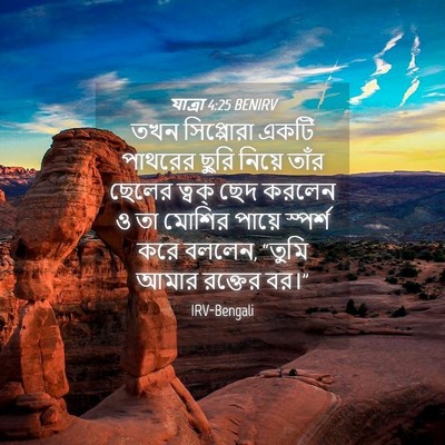 Picture 04 - যাত্ৰা 4:25 BENIRV - তখন সিপ্পোরা একটি - Bible Verse Picture