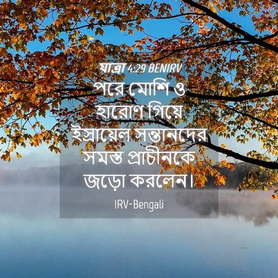 Picture 04 - যাত্ৰা 4:29 BENIRV - পরে মোশি ও হারোণ - Bible Verse Picture