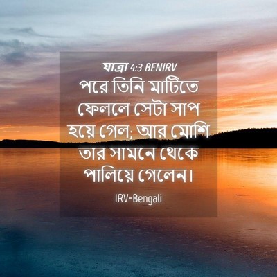Picture 04 - যাত্ৰা 4:3 BENIRV - পরে তিনি মাটিতে - Bible Verse Picture