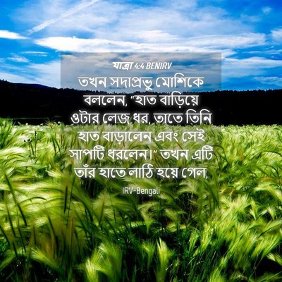 Picture 04 - যাত্ৰা 4:4 BENIRV - তখন সদাপ্রভু - Bible Verse Picture