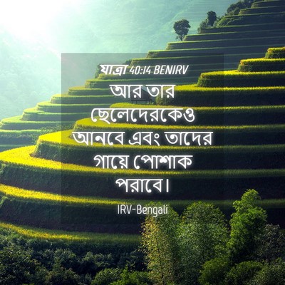 Picture 04 - যাত্ৰা 40:14 BENIRV - আর তার ছেলেদেরকেও - Bible Verse Picture
