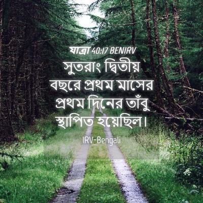 Picture 04 - যাত্ৰা 40:17 BENIRV - সুতরাং দ্বিতীয় - Bible Verse Picture