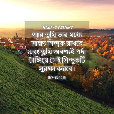 Picture 04 - যাত্ৰা 40:3 BENIRV - আর তুমি তার মধ্যে - Bible Verse Picture