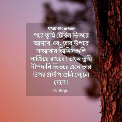Picture 04 - যাত্ৰা 40:4 BENIRV - পরে তুমি টেবিল - Bible Verse Picture