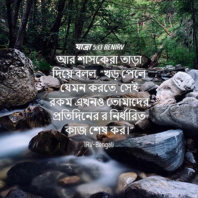 Picture 04 - যাত্ৰা 5:13 BENIRV - আর শাসকেরা তাড়া - Bible Verse Picture