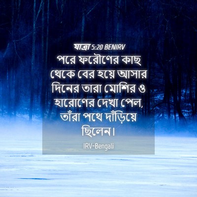 Picture 04 - যাত্ৰা 5:20 BENIRV - পরে ফরৌণের কাছ - Bible Verse Picture
