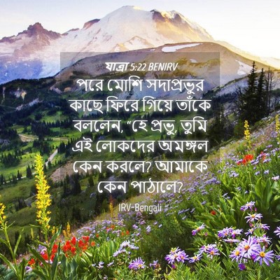 Picture 04 - যাত্ৰা 5:22 BENIRV - পরে মোশি - Bible Verse Picture