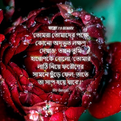 Picture 04 - যাত্ৰা 7:9 BENIRV - ‘তোমরা তোমাদের - Bible Verse Picture