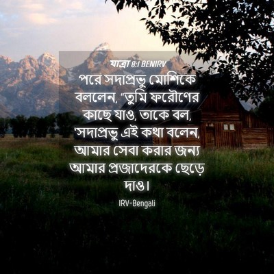 Picture 04 - যাত্ৰা 8:1 BENIRV - পরে সদাপ্রভু - Bible Verse Picture