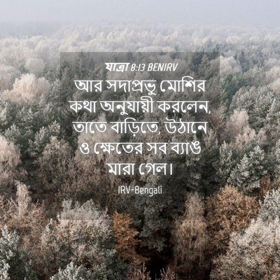 Picture 04 - যাত্ৰা 8:13 BENIRV - আর সদাপ্রভু মোশির - Bible Verse Picture