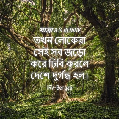 Picture 04 - যাত্ৰা 8:14 BENIRV - তখন লোকেরা সেই সব - Bible Verse Picture