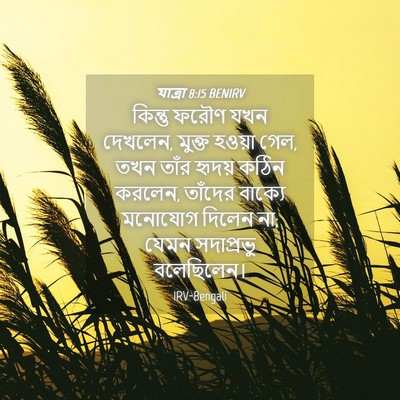 Picture 04 - যাত্ৰা 8:15 BENIRV - কিন্তু ফরৌণ যখন - Bible Verse Picture