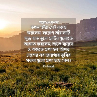Picture 04 - যাত্ৰা 8:17 BENIRV - তখন তাঁরা সেই রকম - Bible Verse Picture