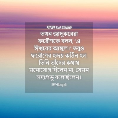 Picture 04 - যাত্ৰা 8:19 BENIRV - তখন জাদুকরেরা - Bible Verse Picture
