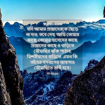 Picture 04 - যাত্ৰা 8:21 BENIRV - যদি আমার - Bible Verse Picture