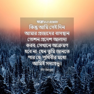 Picture 04 - যাত্ৰা 8:22 BENIRV - কিন্তু আমি সেই দিন - Bible Verse Picture