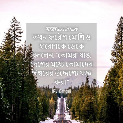 Picture 04 - যাত্ৰা 8:25 BENIRV - তখন ফরৌণ মোশি ও - Bible Verse Picture
