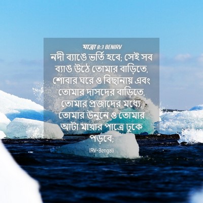 Picture 04 - যাত্ৰা 8:3 BENIRV - নদী ব্যাঙে ভর্তি - Bible Verse Picture
