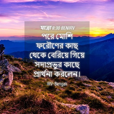 Picture 04 - যাত্ৰা 8:30 BENIRV - পরে মোশি ফরৌণের - Bible Verse Picture