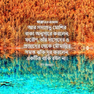 Picture 04 - যাত্ৰা 8:31 BENIRV - আর সদাপ্রভু মোশির - Bible Verse Picture