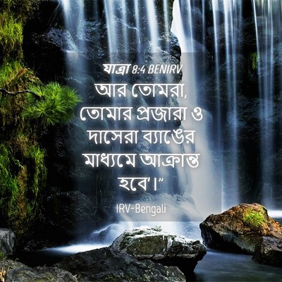Picture 04 - যাত্ৰা 8:4 BENIRV - আর তোমরা, তোমার - Bible Verse Picture