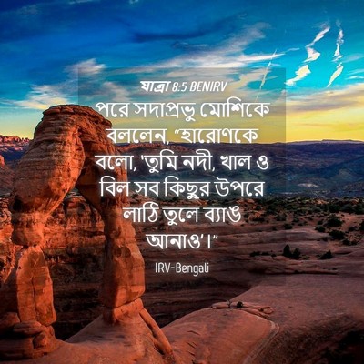 Picture 04 - যাত্ৰা 8:5 BENIRV - পরে সদাপ্রভু - Bible Verse Picture